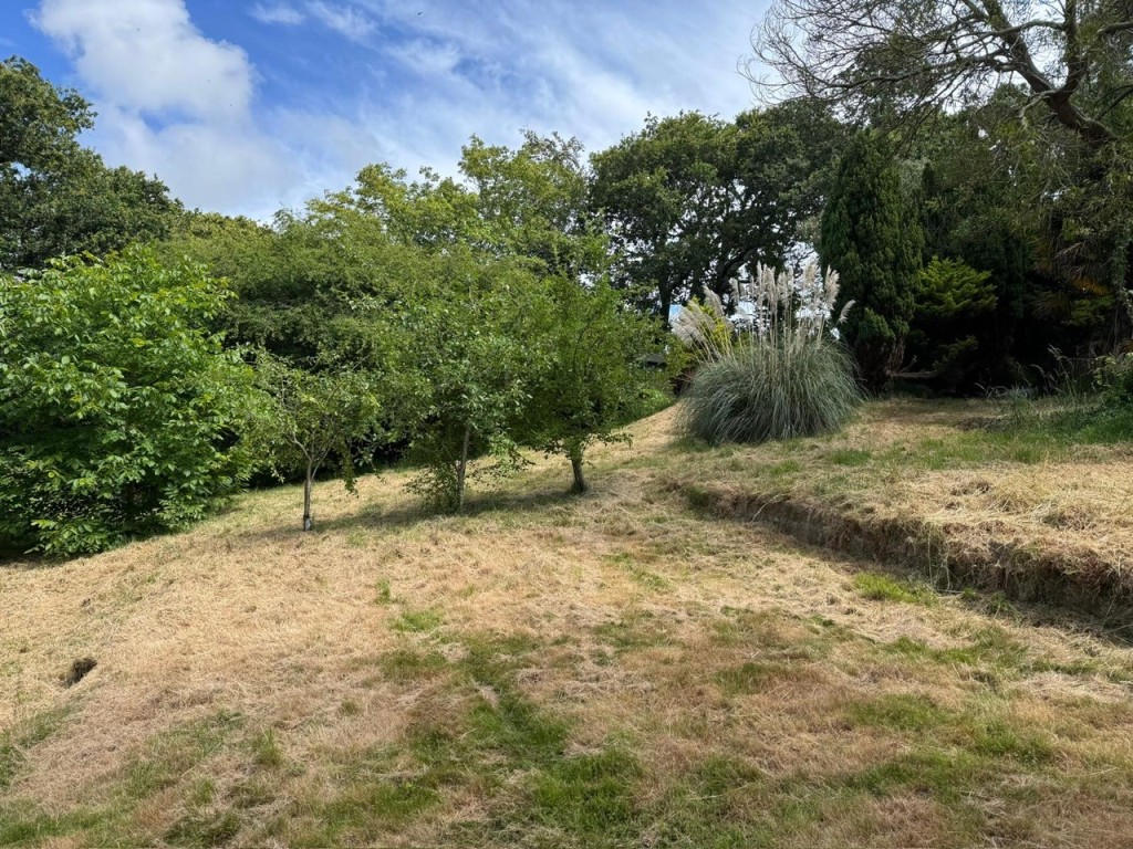 Lot: 140 - CHALET BUNGALOW ON ONE ACRE PLOT IN SEMI-RURAL LOCATION - Garden